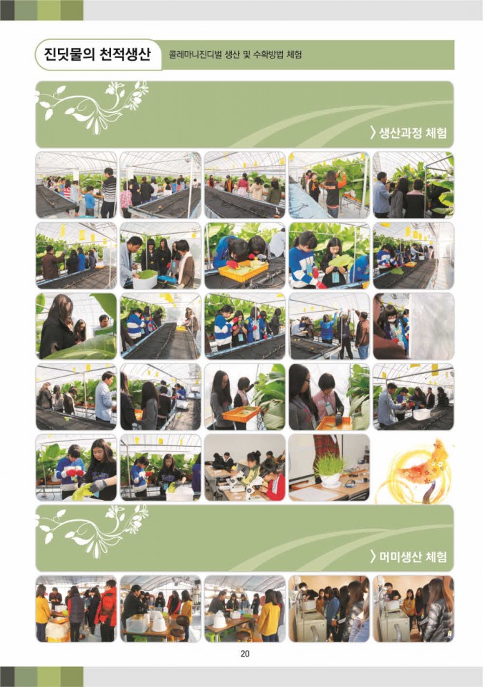 51a0447cd43c603ef799c43cac81b547.jpg