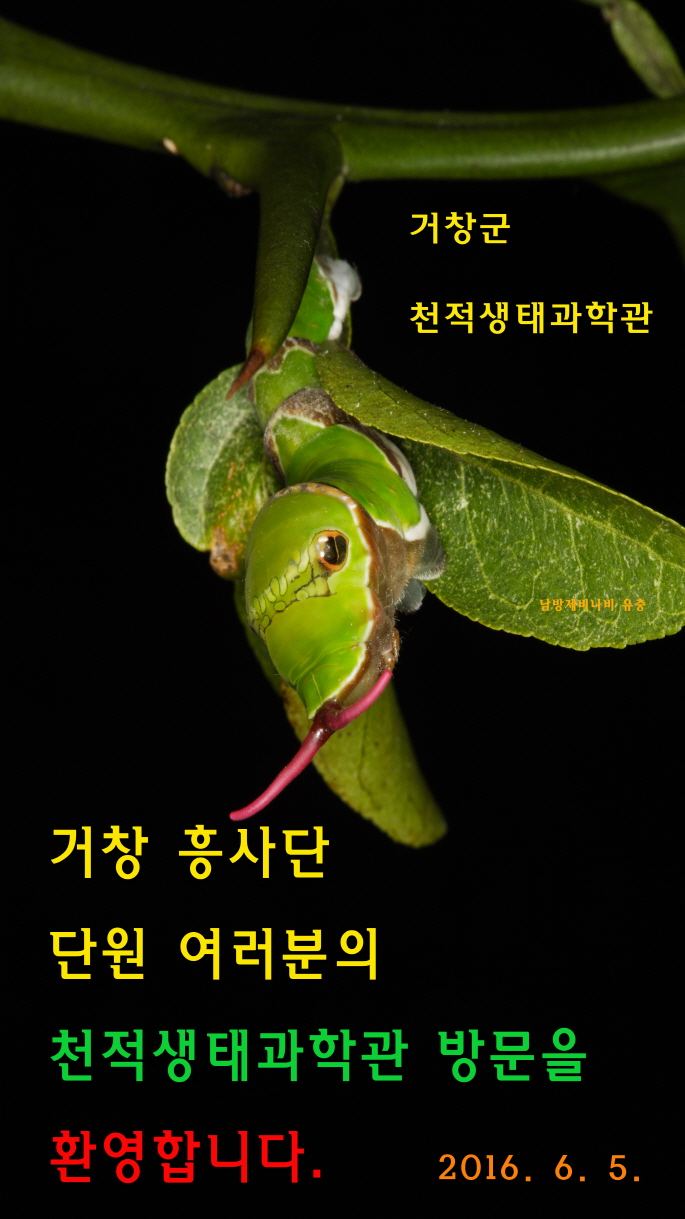 aba940943504a1e5f302dfece9fa371b.jpg